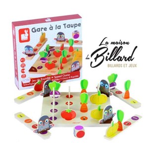 Boutique Maison du billard Jeu de société Janod